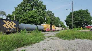 Amtrak 97 the Maple Leaf leads CN 421 through Clifton [upl. by Eiramyllek]