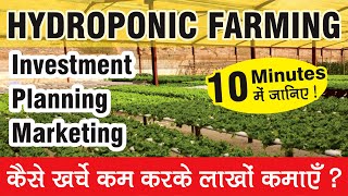 All about Hydroponic Farming in 10 minutes [upl. by Nnarefinnej478]