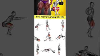 Best Leg Workouts at Home NO EQUIPMENT [upl. by Huttan]