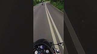 Suzuki RG500 pure acceleration rg500 2strokebikes [upl. by Anialahs]