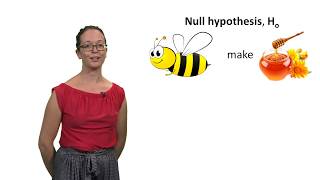 Null and alternative hypotheses with Lindsey Leach [upl. by Bazar438]