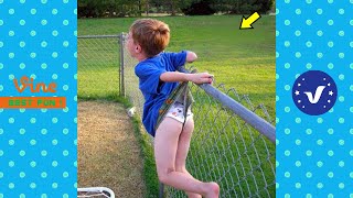 Best FUNNY Videos 2022 ● TOP People doing funny stupid things Part 31 [upl. by Enrol]