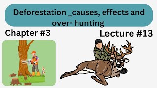 deforestation causes effects and overhunting in Urdu  Lec  13  Biodiversity  chp  3  9 class [upl. by Kinelski]