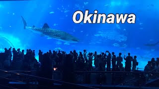 Okinawa trip独学英語 ひとこと英会話 ひとりごと英会話 [upl. by Leirda80]