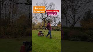 Lawncare in autumn 🍁 Using the weibang scarifier and honda HRH mower to pick up lawncare me lawn [upl. by Tebor]