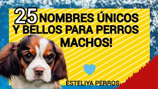 25 NOMBRES LINDÍSIMOS PARA PERROS MACHOS [upl. by Netsua]