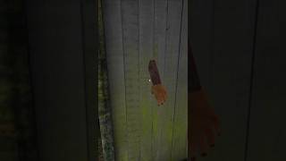 Granny chapter 2 glitch 😮 horrorgaming bhoot [upl. by Asirehc872]