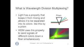 The Division Classes Explained  How Do Classes Work  Division Gameplay [upl. by Aicelet]