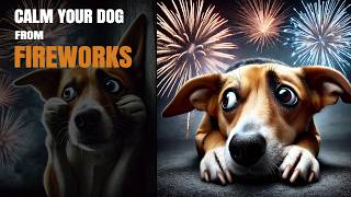 Sound to Calm Dogs from Fireworks GUARANTEED [upl. by Miun]