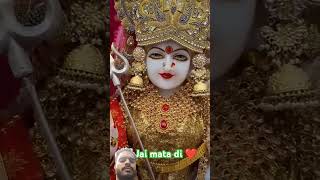 Maa bhakti div Vaishno Devi New viralvideo love maavaishnodevibhawan [upl. by Hourihan]