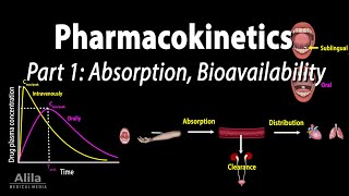 Pharmacokinetics part 1 Overview Absorption and Bioavailability Animation [upl. by Amabil]