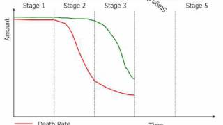 The Demographic Transition Model [upl. by Mecke]