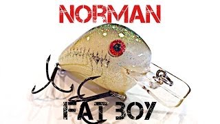 Lure Review Norman Fat Boy [upl. by Nessa]