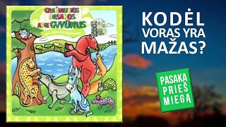 Pasaka  Kodėl Voras Yra Mažas Audiopasakos lietuviškai [upl. by Remy]