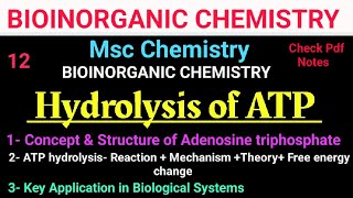 ATP HydrolysisConceptMechanism Application mscchemistrynotes bioinorganic itschemistrytime [upl. by Einaffets461]