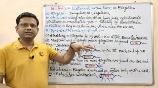 NonNewtonian Fluids part 3  Lecture 17  Chemical Engineering Fluid Mechanics [upl. by Eegnat]