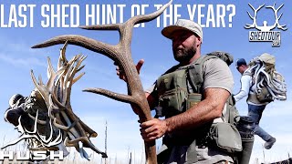 SHED HUNTING IS ALL LUCK  SHEDTOUR S5EP7 [upl. by Wight]