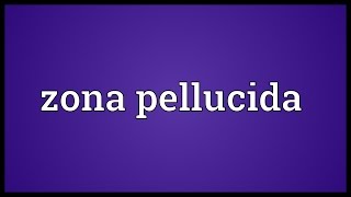 Zona pellucida Meaning [upl. by Brost]