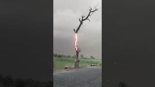 After Lightning Strike [upl. by Athalla]