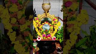 🌹🌹🌹🙏🙏🙏🙏💐💐💐🪔🪔🪔🪔🥥🥥om namah shivay namo namah ytshorts motivation [upl. by Schram]