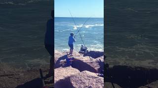 Catching a red fish from the jetty fishing jettyfishing redfish texasfishing bigfish [upl. by Lammond]