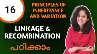 LINKAGE amp RECOMBINATION PRINCIPLES OF INHERITANCE AND VARIATION NCERT NEET BIOLOGY IN MALAYALAM [upl. by Hansiain]