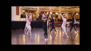 Circus of Wonders Talentfest UK Finals 2014 [upl. by Luigino]