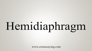 How To Say Hemidiaphragm [upl. by Eelannej19]