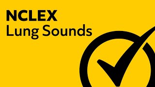 Lung Sounds  NCLEX Review [upl. by Lucie144]