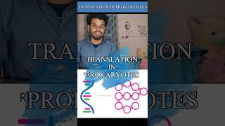 Translationprokaryotestamilnotesprotein synthesisdnamrnatrnadiagramprocessgene expression [upl. by Gaw]