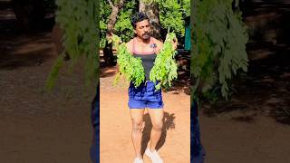 Diet plan Ideas tamil  Healthy Life style  Sathish fitness tamil [upl. by Duquette]