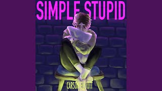 Simple Stupid [upl. by Mercuri]