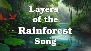 Layers of the Rainforest Song [upl. by Arlon]