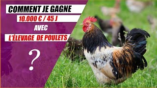 Comment Gagner 10 000€ en 45 jours avec lélevage de poulets [upl. by Hallett]