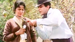 Waheeda Rehman  Best Movie Scenes  Waheeda Rehman and Dilip Kumar Movie Scenes  Ram Aur Shyam [upl. by Zashin275]