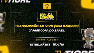 BRASILIENSE x CRICIÚMA  2ª FASE DA COPA DO BRASIL 2024 SEM IMAGENS [upl. by Tessa]