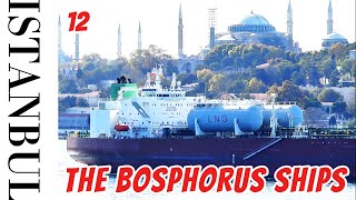 12The Bosphorus Ships and Historical Monuments of Istanbul Turkey Crossing The Bosphorus Strait [upl. by Annatnom]