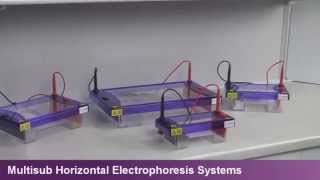 Cleaver Scientific Horizontal Electrophoresis Products [upl. by Deering461]