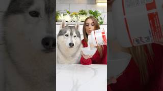 Come CREARE UN ADESIVO NATALIZIO🎅🏼😍🎄 tutorial creazioni creative cane dog [upl. by Monto]