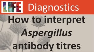 How to interpret Aspergillus antibody IgG titres for chronic aspergillosis [upl. by Levins]