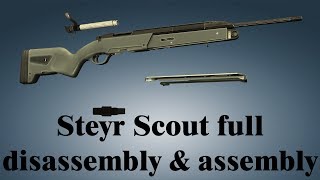 Steyr Scout full disassembly amp assembly [upl. by Amalbergas992]