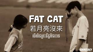 FAT CAT  若月亮沒來 王宇宙Leto喬浚丞 បទសេដចិនកំពុងល្បី  fat cat song [upl. by Adim100]