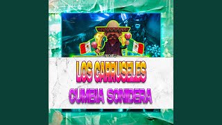 Los Carruseles Cumbia Sonidera [upl. by Kellina575]