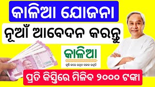 Kalia Yojana Online Apply odisha 2023kalia Yojana Online grievance apply [upl. by Aiceled656]