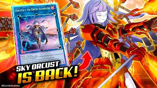 STRIKER ORCUST IS BACK❗ Deck ORCUST SKY STRIKER ft NEW ORCUST LINK 1  EDOPRO [upl. by Killigrew]