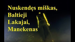 Nuskendęs miškas manekenas Baltieji Lakajai [upl. by Freddy]