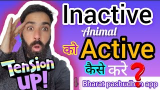 Inactive animal Solution in bharat pashudhan app पर inactive animal क्यो active कैसे करे [upl. by Chapnick]