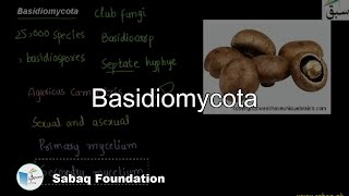 Basidiomycota Biology Lecture  Sabaqpk [upl. by Haveman]