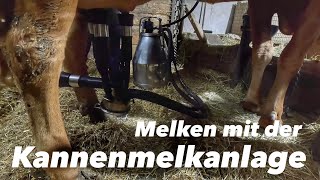 Stallarbeit  Misten amp Melken [upl. by Trixy827]