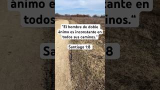 ”El hombre de doble ánimo es inconstante en todos sus caminos” palabradedios sabiduría biblia ‭ [upl. by Ainollopa]